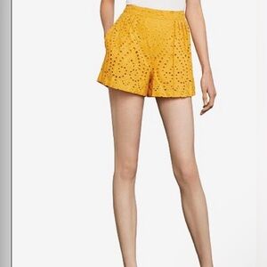 Bcbgmaxazria shorts